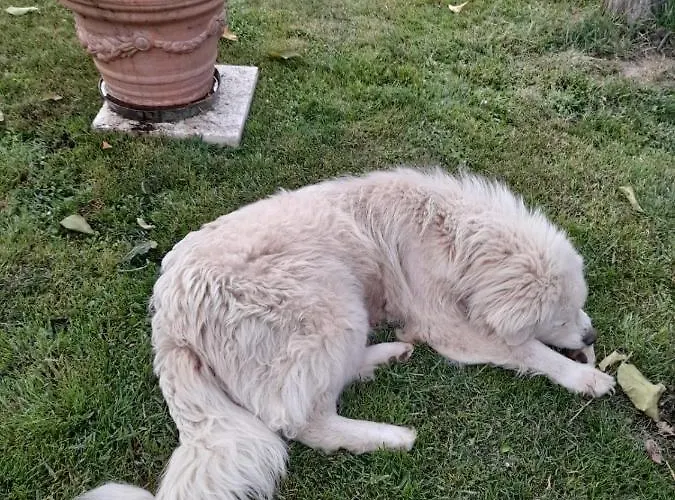 Casa Patti Alle Porte Di Apartman *